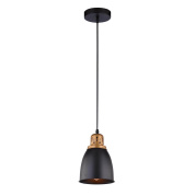 подвесной светильник arte lamp eurica a4248sp-1bk