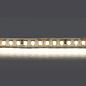 Светодиодная лента Lightstar 16W/m 168LED/m дневной белый 5M 420824