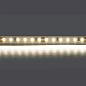 Светодиодная лента Lightstar 12W/m 120LED/m дневной белый 5M 420804