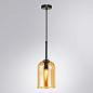 Подвесной светильник Arte Lamp Paio A7015SP-1BK