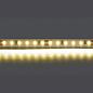 Светодиодная лента Lightstar 12W/m 120LED/m теплый белый 5M 420803