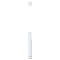 Подвесной светодиодный светильник Arte Lamp Altais A6110SP-2WH
