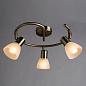 Спот Arte Lamp Parry A5062PL-3AB
