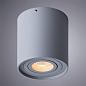 Потолочный светильник Arte Lamp Falcon A5645PL-1GY