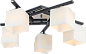 Потолочная люстра Arte Lamp 52 A8165PL-5BK