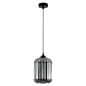Подвесной светильник Arte Lamp Arwen A1902SP-1BK