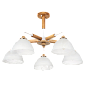 Потолочная люстра Arte Lamp Matthew A5032PL-5BR
