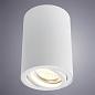 Потолочный светильник Arte Lamp A1560PL-1WH