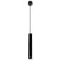 Подвесной светодиодный светильник Arte Lamp Altais A6110SP-2BK