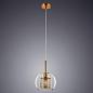 Подвесной светильник Arte Lamp Manchester A7620SP-1AB